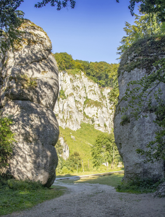 Das Krakauer Tor der Väter