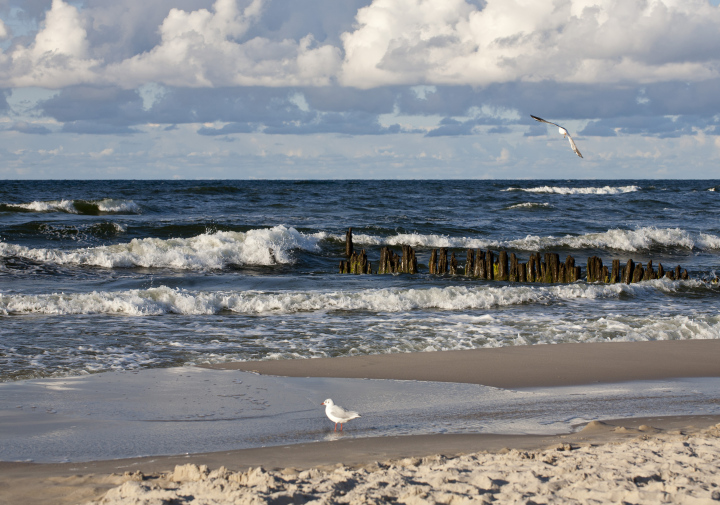 Ein sonniger Morgen am Strand