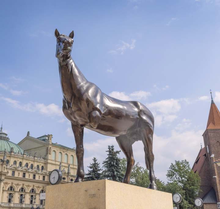 Pferd Skulptur von Austin Camilleri, Krakau