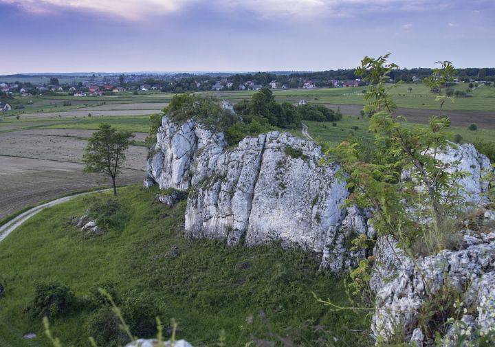 Felsen im Hochland von Krakau-Częstochowa