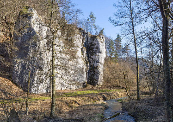 Felsen im Nationalpark Ojców