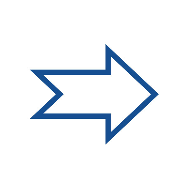 Granatapfelpfeil, eps, Vektor